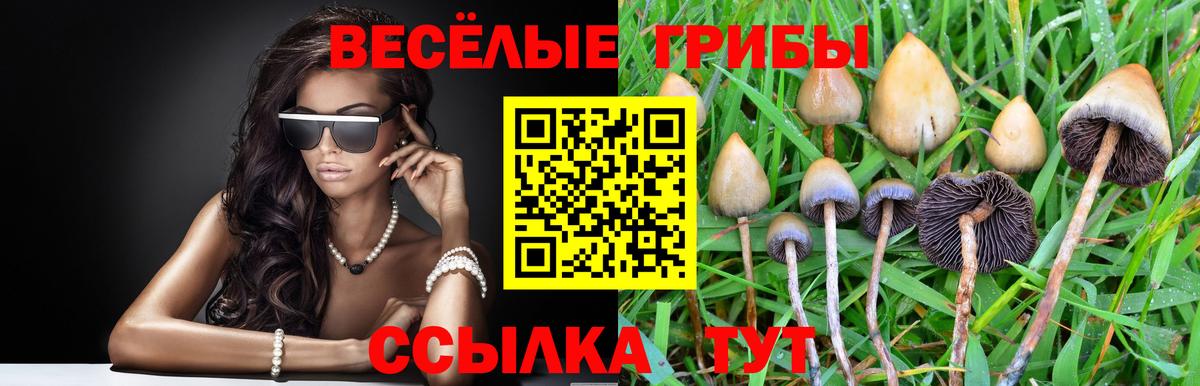 Галлюциногенные грибы GOLDEN TEACHER  Псилоцибиновые грибы MAGIC MUSHROOMS  где можно купить наркотик  Дубна  Вход с VPN 